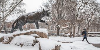 Pitt Panther statue covered in snow